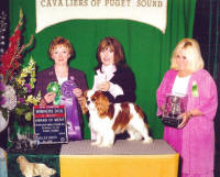 CH Grantilley Patriot - Judge Shealagh Waters - 3rd Major, New Champion & Award of Merit. Presented by Gwenn Crawford