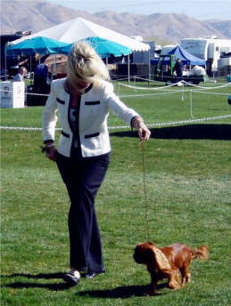 Cottfordcourt On Golden Pond winning Best Bred By - Victorville CA 2007 - Presented by Sue Miller