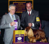 BIS CH Turretbank Samson - AOM Winner at Westminster Kennel Club February 2007