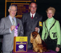 BIS CH Turretbank Samson - AOM Winner at Westminster Kennel Club February 2007